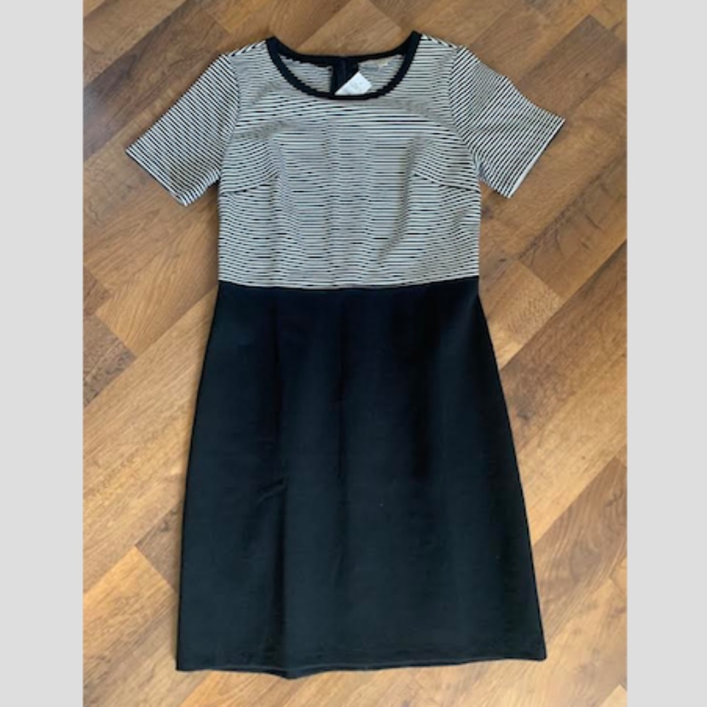 🆕 LOFT Coloblock Dress